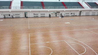 品牌木地板动态 国内近期运动木地板价格动态