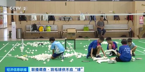 全民运动热潮 价格狂飙，热销品类一抢而空，2.5亿人参与引爆体育新风尚