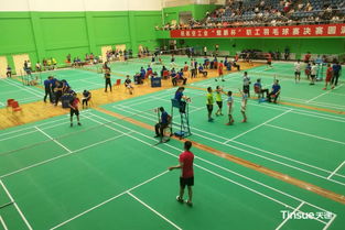 科创引领，筑梦未来 大型国企与科研机构的协同创新实践与体育精神融合之路