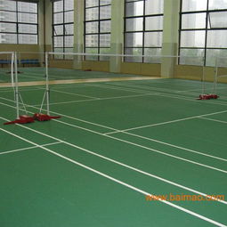 苏州绿色地板革卷材地板热销探秘 运动场馆的优选与市场解析