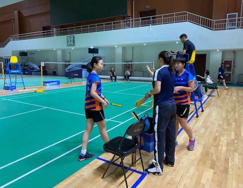 海淀区业余体校羽毛球队在北京市青少年锦标赛中斩获佳绩，展现体教融合新成果