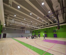 篮球木地板,洛可风情运动地板,篮球木地板品牌推荐